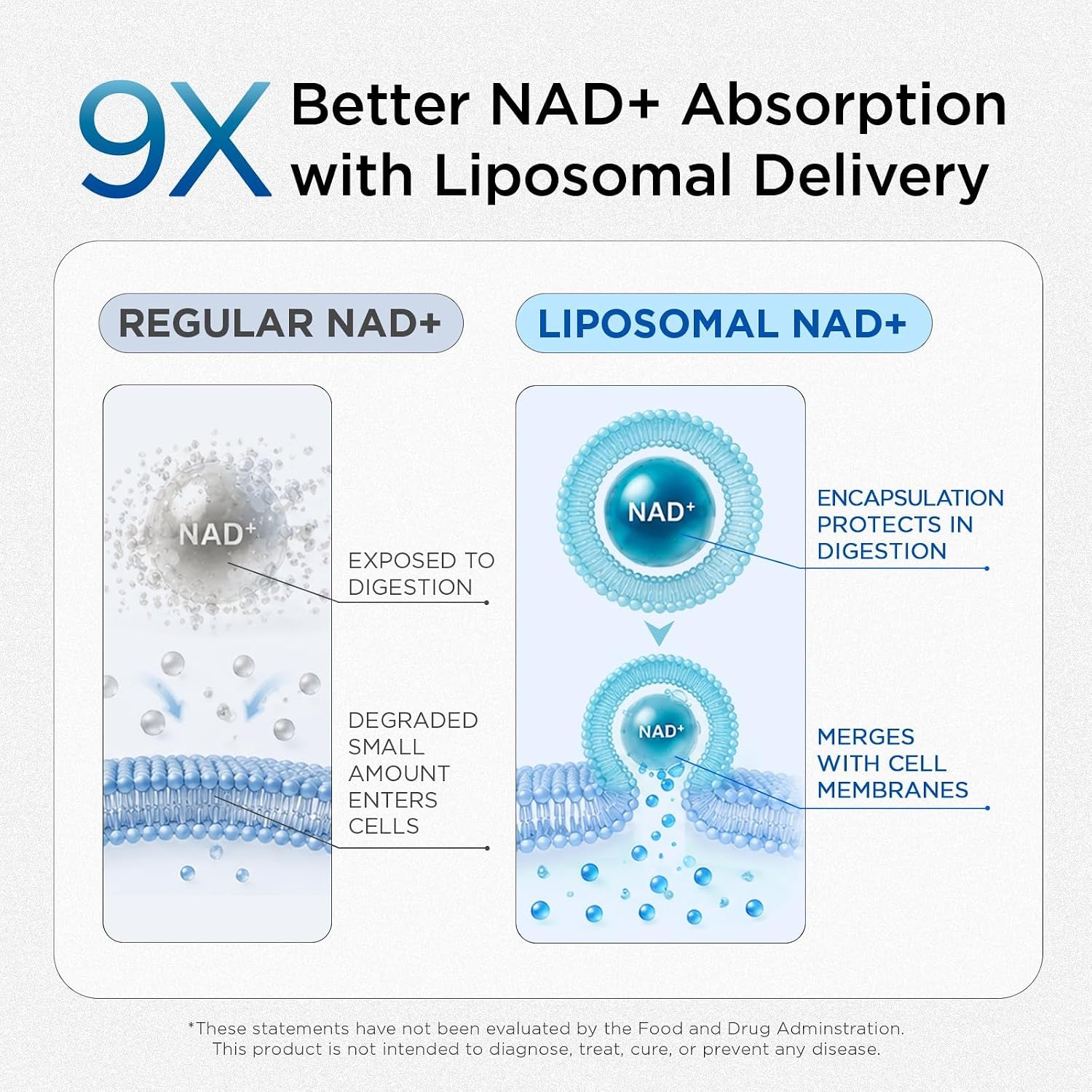 Liposomal NAD Supplement for Men